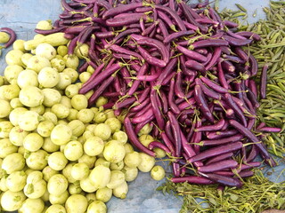 Fresh Brinjal (Eggplant) Ready for Cooking