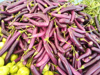 Fresh Brinjal (Eggplant) Ready for Cooking