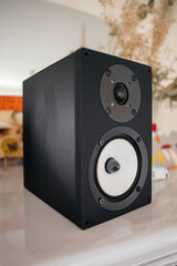 Luxury hi-fi sound emanates from an expensive speaker featuring a white audiophile cone and tweeter, emphasizing its premium quality and superior audio performance.