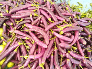 Fresh Brinjal (Eggplant) Ready for Cooking