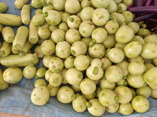 Fresh Apple Gourd Ready for Cooking