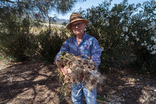 Proud farmer holding freshly harvested garlic outdoors