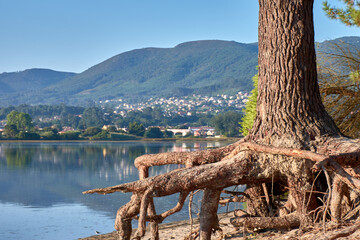 Fototapete bei efototapeten.de bestellen   