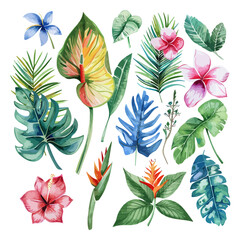 Hand_drawn watercolor tropical flower set Exotic, illustration of tropical leaves and flowers, monster leaves, banana leaves, palm leaves