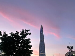 Sunset in Seoul with Tower View