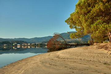 Fototapete bei efototapeten.de bestellen   