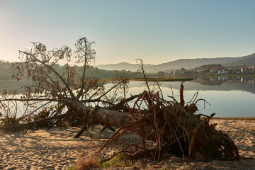 Fototapete bei efototapeten.de bestellen   