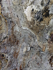 Surface texture of a stone or marble with details