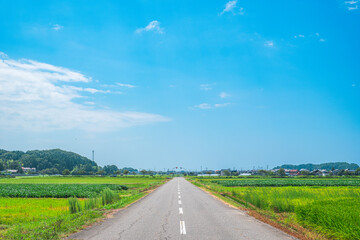 真夏の田舎の一本道