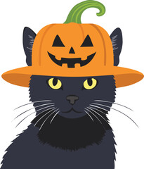 A cute halloween black cat