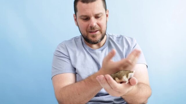 The owner plays with the hamster, dzungarian hamster exploring filler, playful pet seeks fun.