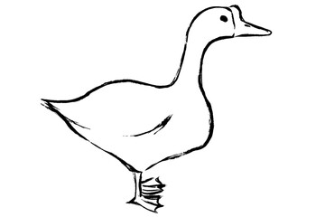 筆タッチのガチョウのモノクロ線画イラスト