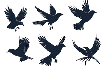 Obraz premium silhouettes of different birds in flight, silhouettes birds on white background.