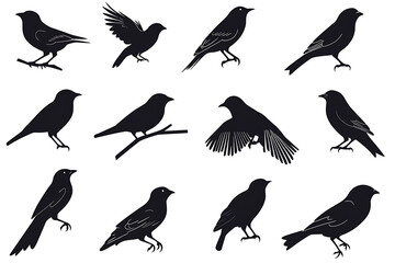 Obraz premium silhouettes of different birds in flight, silhouettes birds on white background.