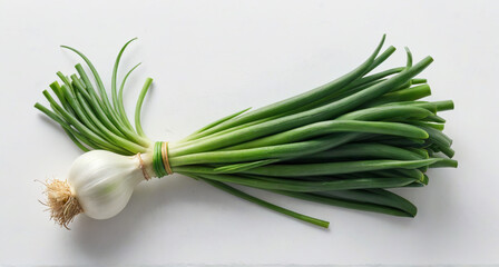 Obraz premium fresh green onions