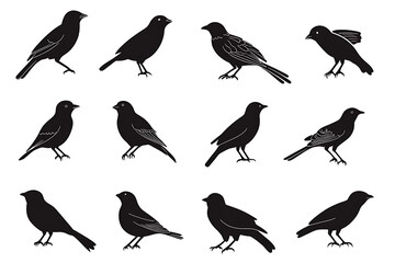 Fototapeta premium silhouettes of different birds in flight, silhouettes birds on white background.