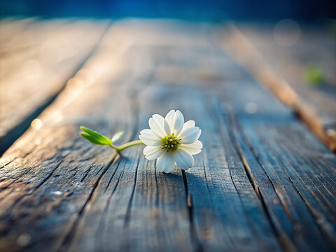 A delicate, white flower lies on a weathered, wooden table, surrounded by subtly blurred, out-of-focus background, evoking feelings of gentle sadness and quiet contemplation.