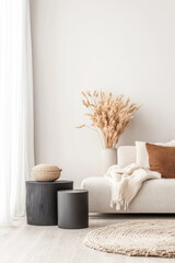 Scandinavian minimalist living room interiors in beige tones with minimal furniture and clear lighting. Residential Real Estate composition.