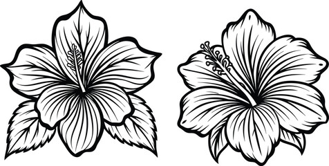 Flower silhouette vector illustration
