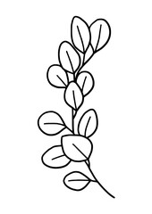 Eucalyptus Minimal Line Art 9