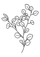 Eucalyptus Minimal Line Art 10