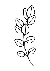 Eucalyptus Minimal Line Art 3