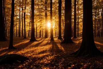 Autumn forest aglow with golden sunlight shining through the trees 