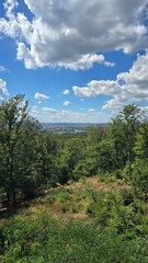 Schöner Panoramablick auf die Stadt Dresden im Sommer 