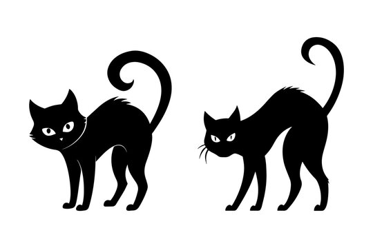 Set of silhouettes black cat, on white background. Vector