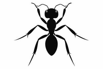 Vector illustration of a ant on white background