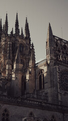 catedral