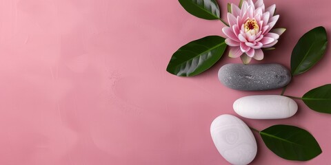 Minimalistic Pink Background with Lotus Flowers 