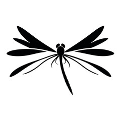 vector illustrations of dragonfly on white background