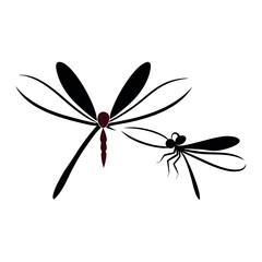 vector illustrations of dragonfly on white background