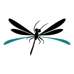 vector illustrations of dragonfly on white background