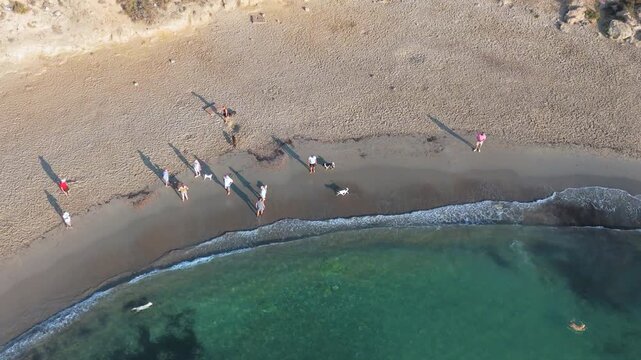 Aerial drone image of Playa Flamenca, Orihuela, showing dogs playing and interacting with their owners on the pebble beach and in the clear waters of Costa Blanca, Spain.
