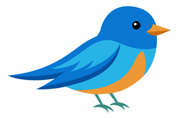 Vector illustration of a eastern bluebird on white background
