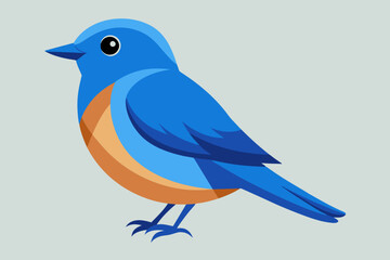 Vector illustration of a eastern bluebird on white background