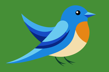 Vector illustration of a eastern bluebird on white background