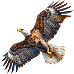 Obraz premium Flying Falcon isolated on a transparent background for web, banner, wallpaper