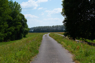 road in the park