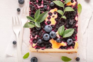 Delicious and sweet blueberry cheesecake with sugar and berries.