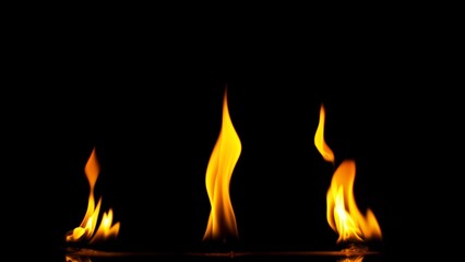 Naklejka premium Set of Flames Isolated on Black Background.