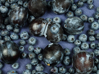 Ripe dark blue plums and blueberries lay out on dark blue fabric, background  