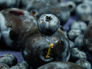 Ripe dark blue plums and blueberries lay out on dark blue fabric, background  