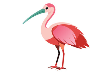 spoonbill bird vector on white background.eps