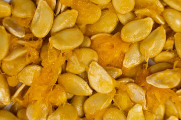 Raw seeds from fresh hokkaido pumpkin close-up