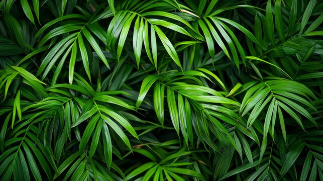 Rumdul Green Long Leaves from Rumduol Plant, Natural Background for Design and Decoration Generative AI