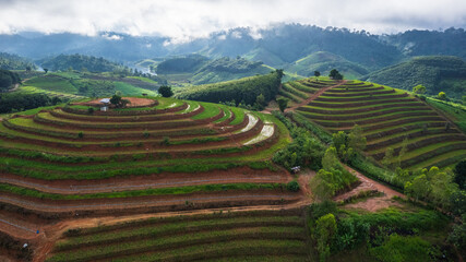 Beautiful  rice terraces in the countryside of northern Thailand, Phitsanulok province, Thailand.