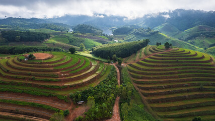 Beautiful  rice terraces in the countryside of northern Thailand, Phitsanulok province, Thailand.